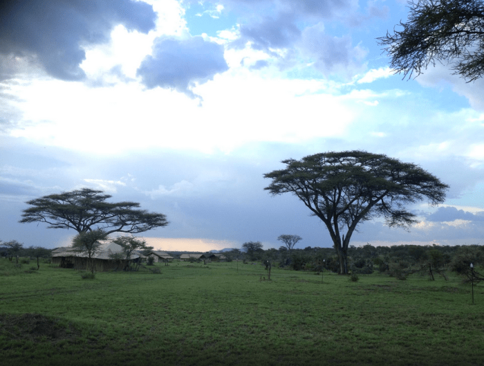 Screen Shot 2015-07-13 at 1.22.10 PM