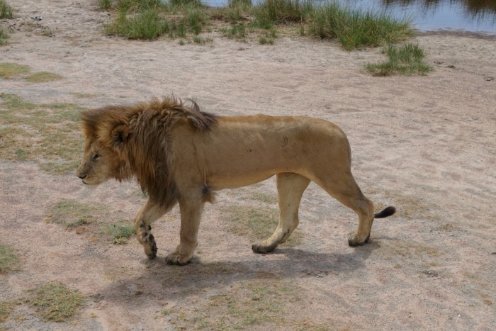 wp-1439039872167 image