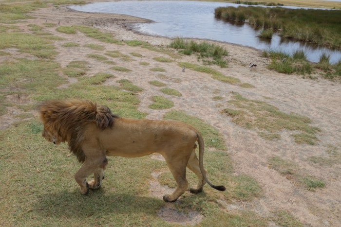 wp-1439039872627 image