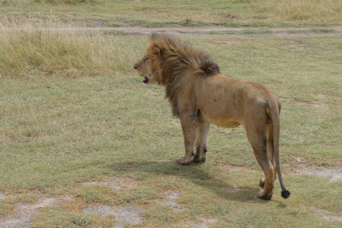 wp-1439039873067 image