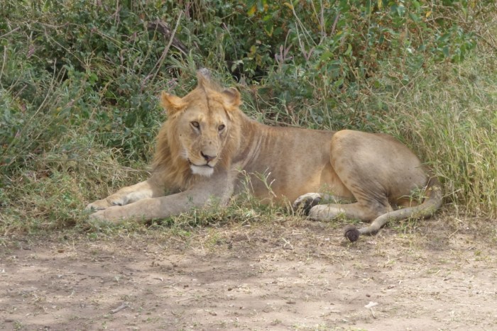 wp-1439039873883 image