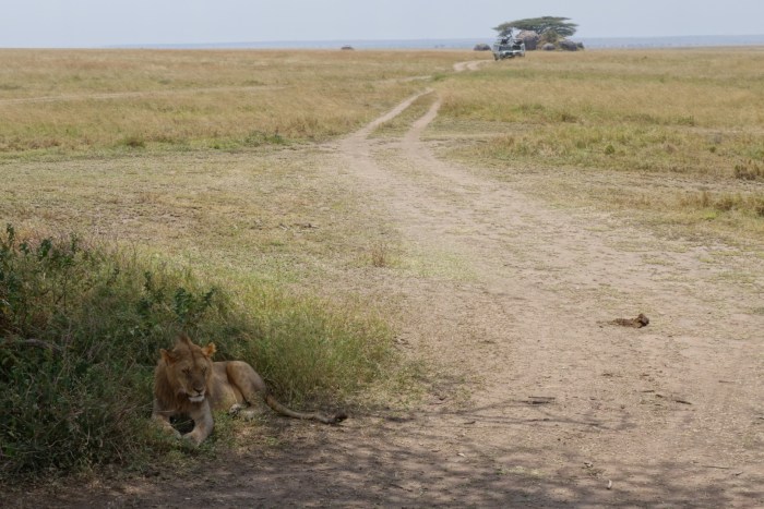 wp-1439039874772 image