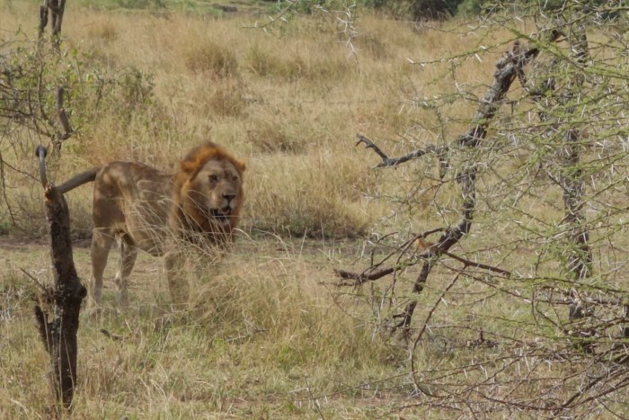 wp-1439039875655 image