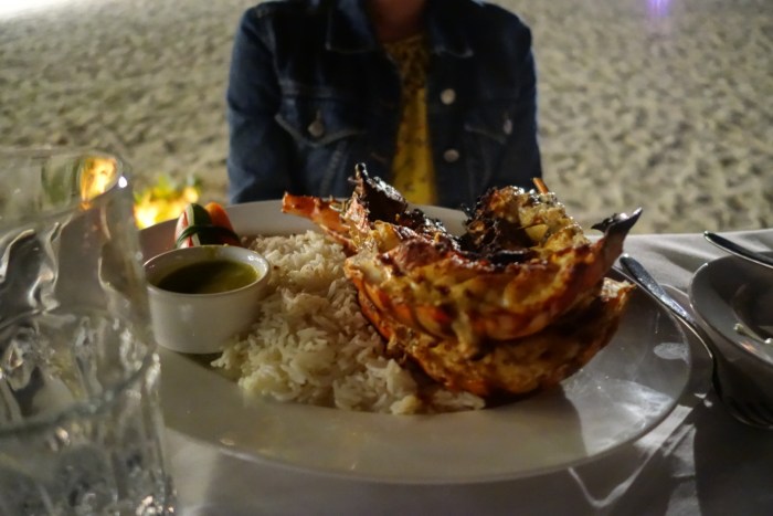 wp-1439044242447 image